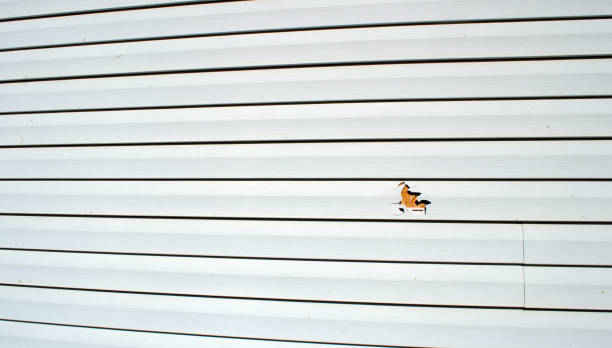 Affordable siding repair and maintenance services in Marion, AL
